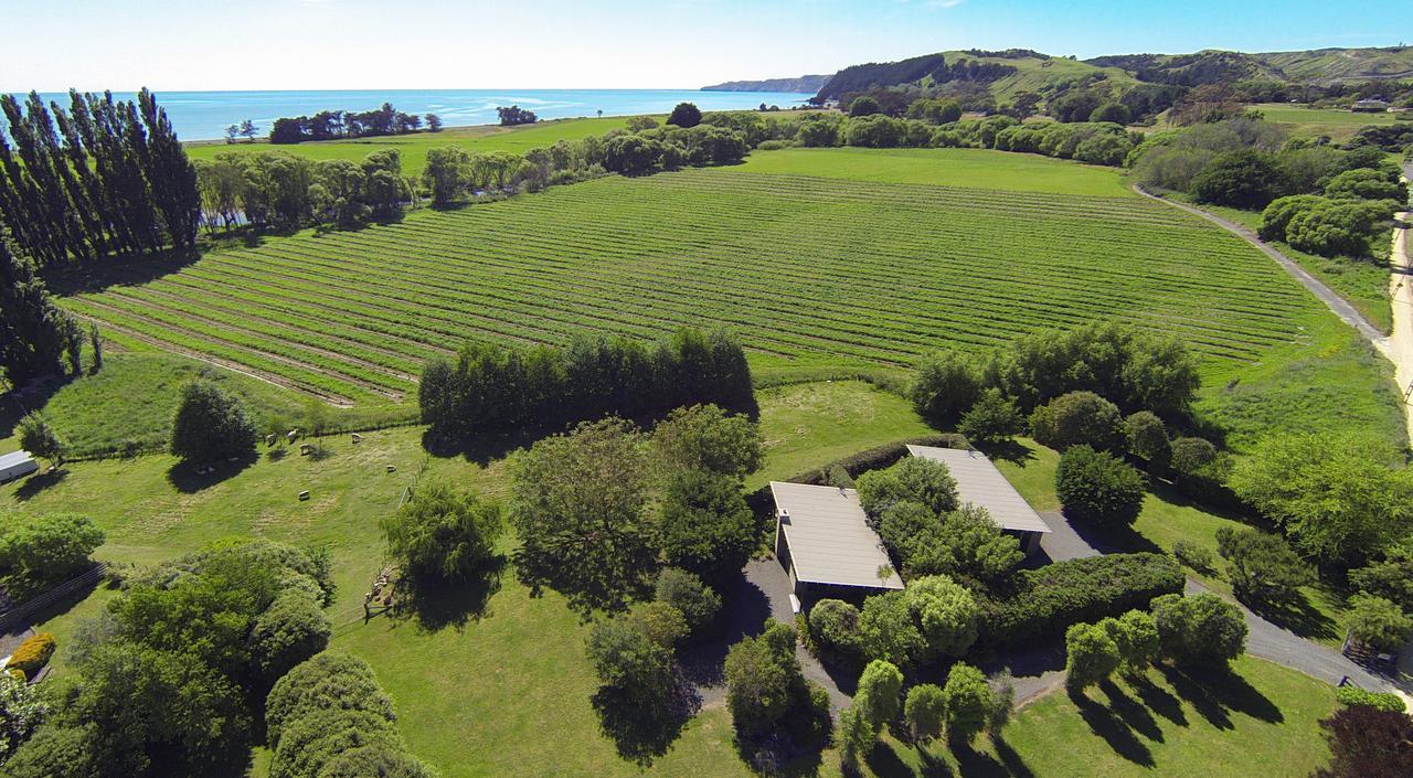 Te Awanga Cottages Exterior foto